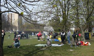 Zasady grillowania. Oto jak nie dostać 5 tys. zł kary