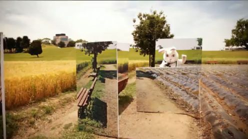 Podążaj za białym królikiem... z Samsungiem NX10 [wideo] 1