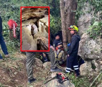 Przez cztery dni tkwił uwięziony głową w dół. Wyjątkowa akcja w jaskini