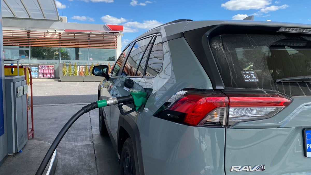 Zdjęcie ilustracyjne do artykułu