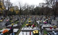 Stracił przytomność na cmentarzu. Eskortowała go policja