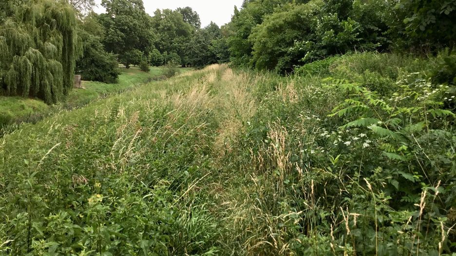 Park na Klecinie jest piękny, ale niewielki. Powiększenie go ucieszy mieszkańców. Teraz trzeba się dogadać