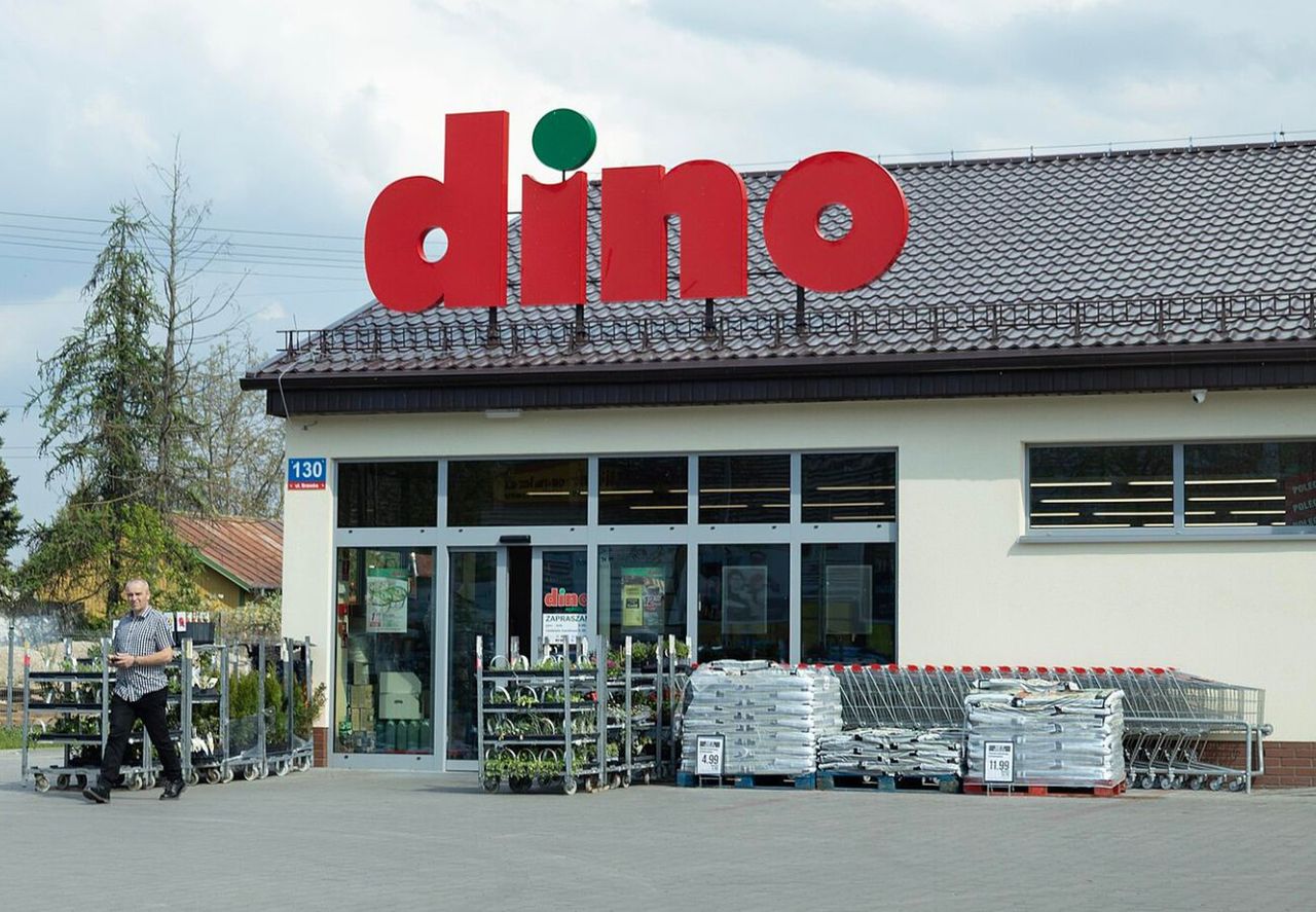 Dino rzuca za darmo. Dostaniesz aż 4 szt. Tylko 7 kwietnia