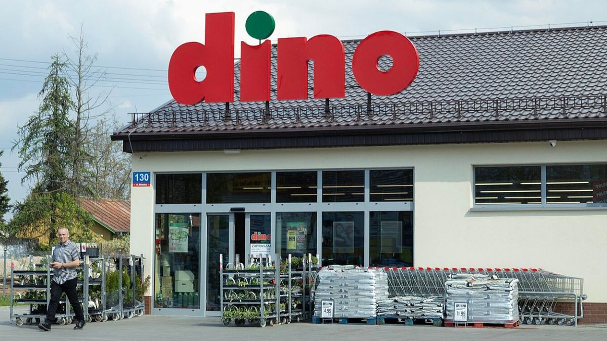 Ostatnia szansa na promocje w Dino