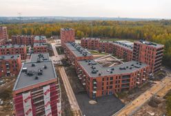 Katowice. W styczniu ruszy nabór do 513 mieszkań
