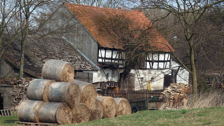 Niektórzy mogą narazić się na karę przez wiosenne porządki