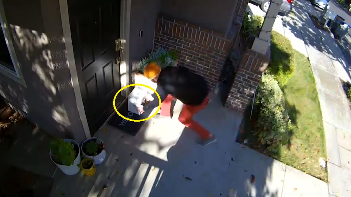 Złodzieje niczego się nie spodziewali 