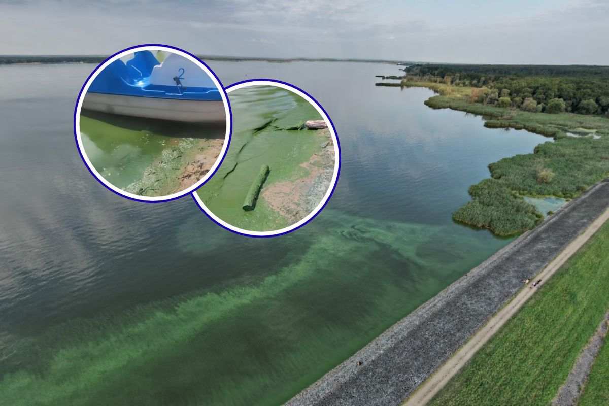"Jezioro Dubajskie" na Opolszczyźnie podbiło TikToka. Wideo ma już 2 mln wyświetleń