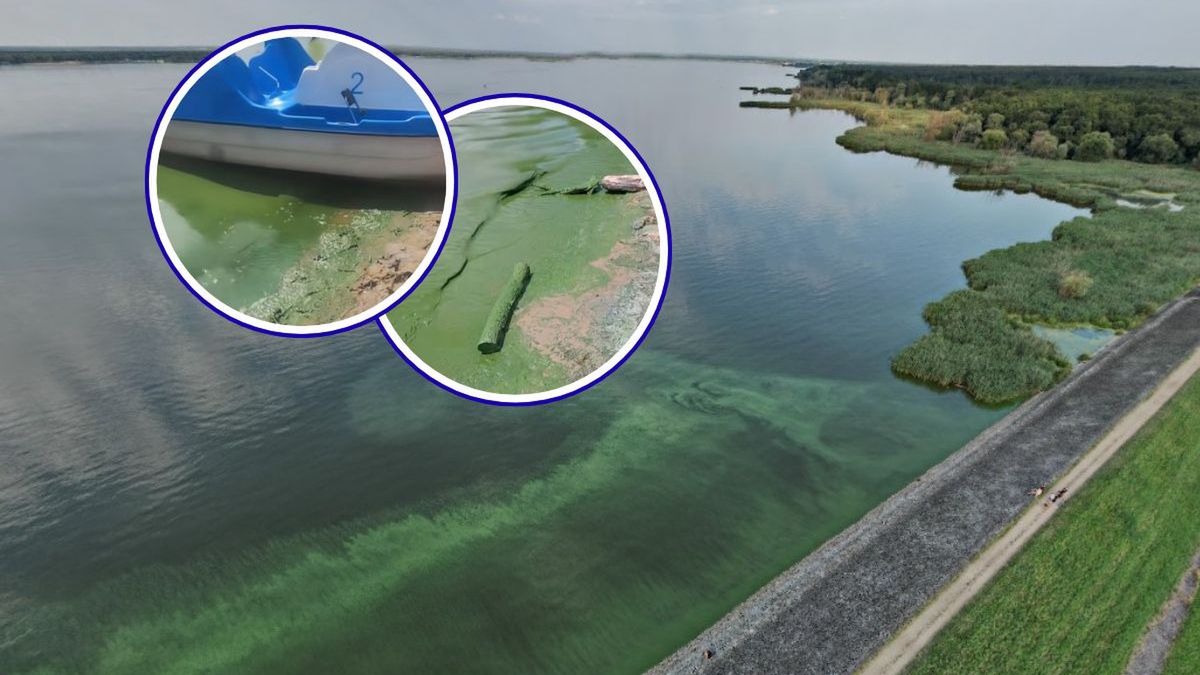 Dubaj w Turawie? Internauci żartują z zielonej mazi na jeziorze