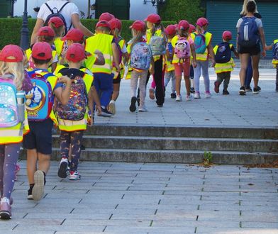 Oszustwa w przedszkolach. Łapówki dla byłej wiceprezydent Krakowa