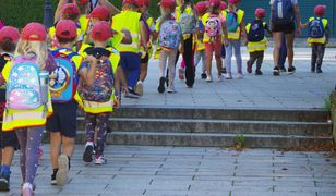 Oszustwa w przedszkolach. Łapówki dla byłej wiceprezydent Krakowa