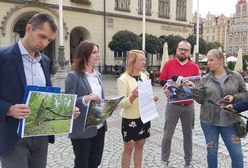 Wrocław. Las Pilczycki zaledwie 8 kilometrów od centrum. Chrońmy skarb natury