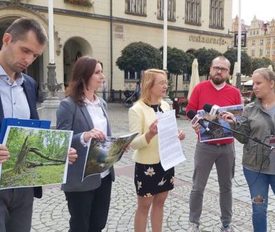 Wrocław. Las Pilczycki zaledwie 8 kilometrów od centrum. Chrońmy skarb natury