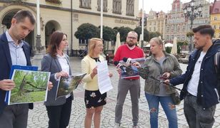 Wrocław. Las Pilczycki zaledwie 8 kilometrów od centrum. Chrońmy skarb natury