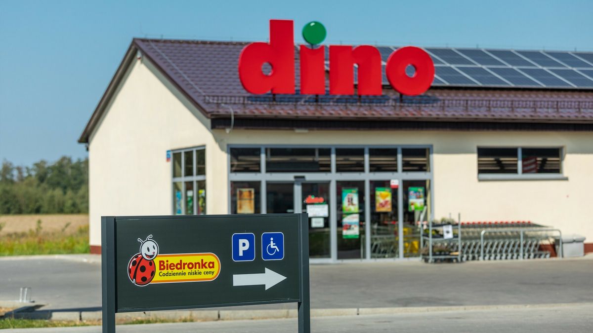 Dino i Biedronka