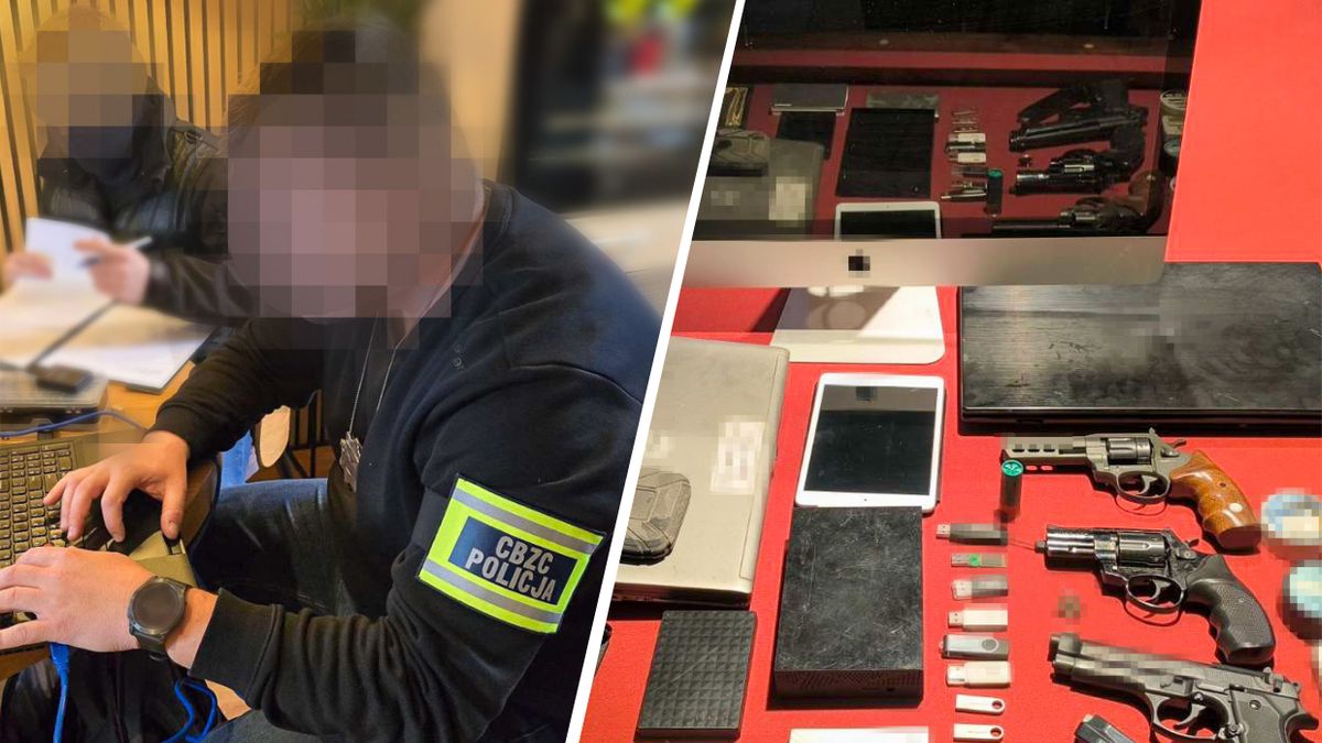 Potężna akcja służb wymierzona w siatkę pedofilską