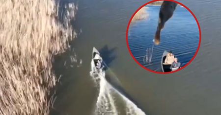 Rosjanie oberwali rybą. Wideo to hit