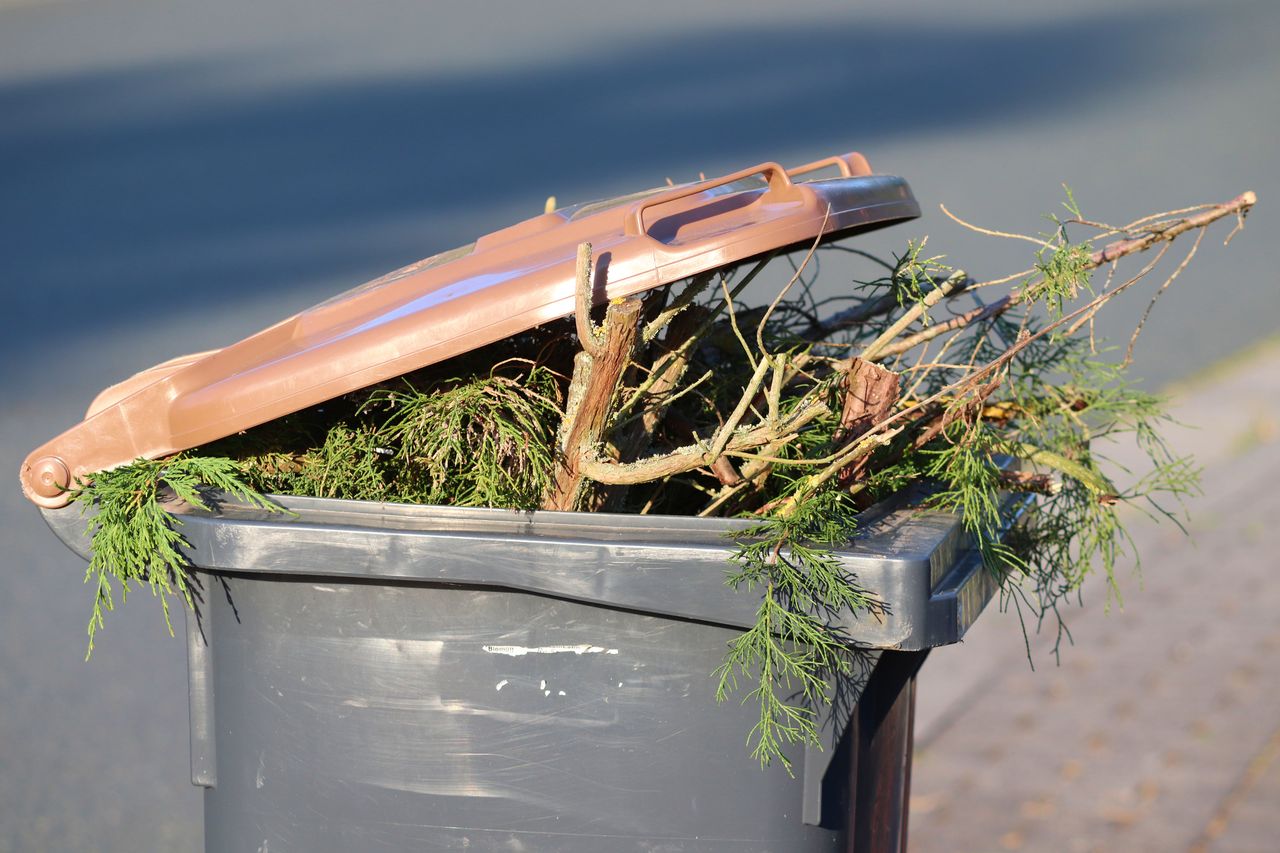 Eco Harmonogram – sprawdź w smartfonie, kiedy w twoim mieście wywożą śmieci