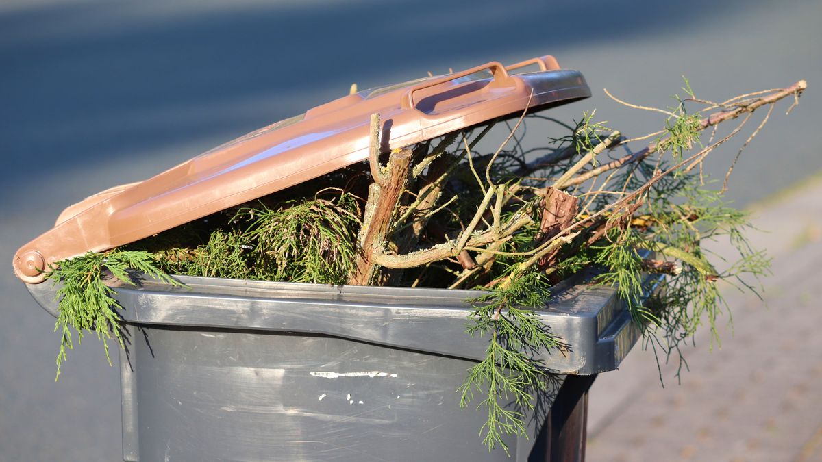 Eco Harmonogram przypomni, kiedy wystawić kubły, fot. Pixabay