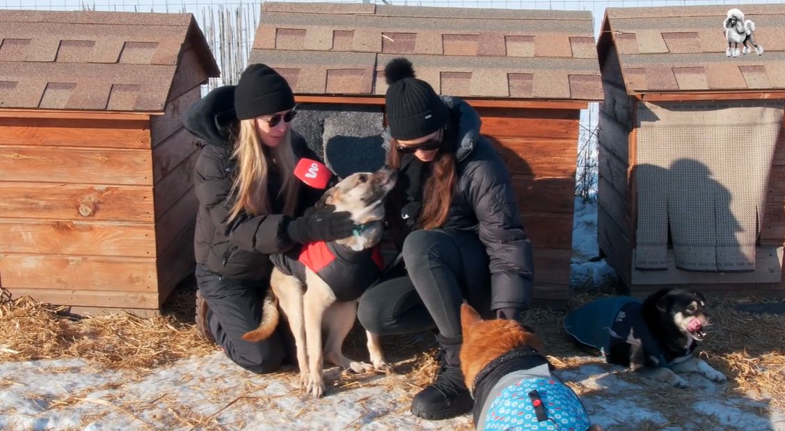 Joanna Przetakiewicz odwiedziła schronisko w Kruszewie