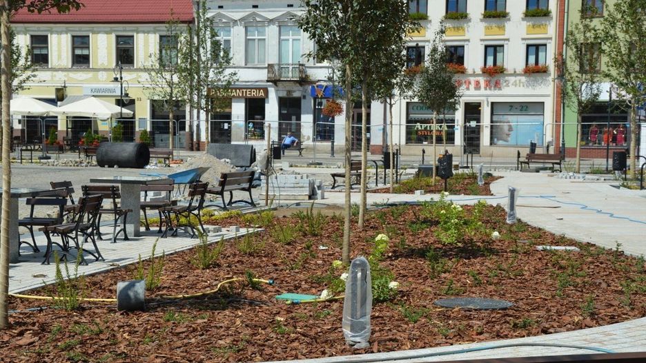 Najdroższe projekty ogólnomiejskie Budżetu Obywatelskiego. Głosowanie rusza już wkrótce