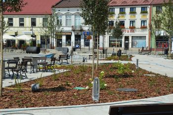 Skierniewice: Rusza głosowanie na 58 projektów Budżetu Obywatelskiego