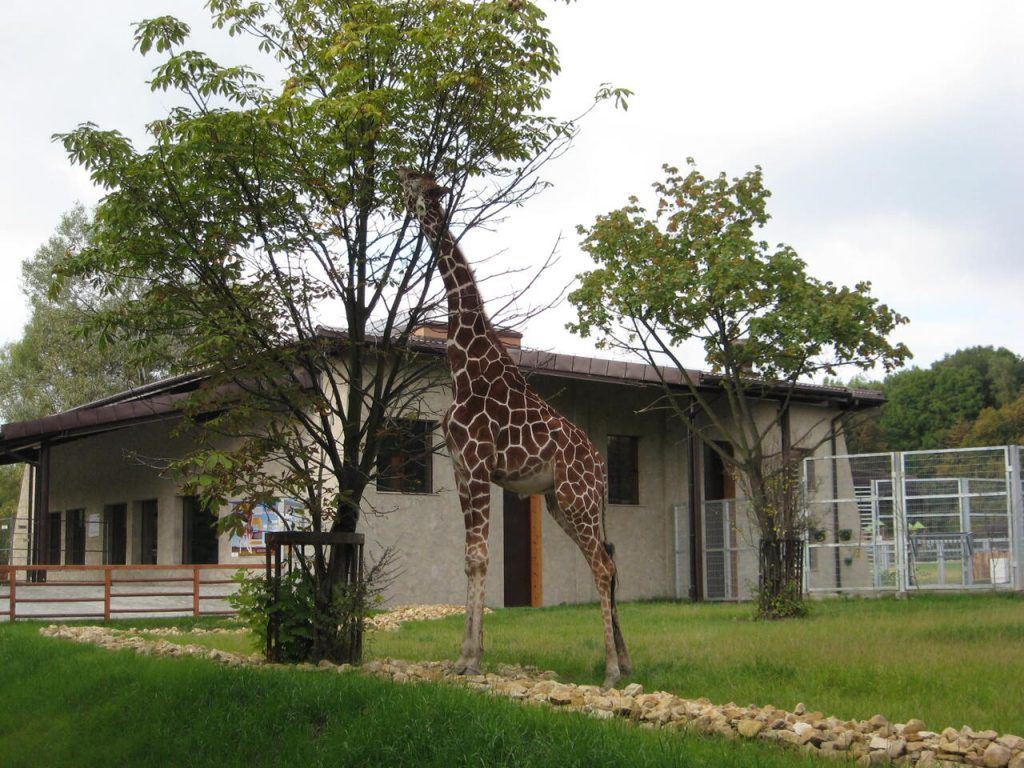 Śląski Ogród Zoologiczny w Chorzowie