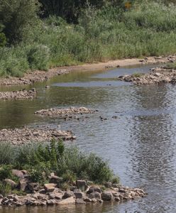 Poziom Wisły blisko dna. Stany alarmowe