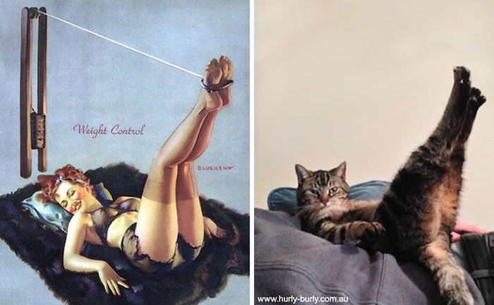 Koty, które pozują jak dziewczyny pin-up z dawnych amerykańskich plakatów 3