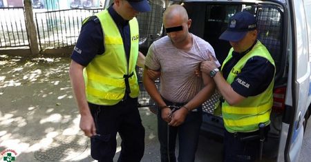 Zabił psa dla zabawy. Łagodny wyrok sądu