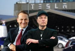 Sikorski do Muska. "Widzisz, wielki człowieku"