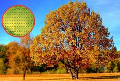 Nadchodzi przełom w pogodzie. Tego dnia duża zmiana