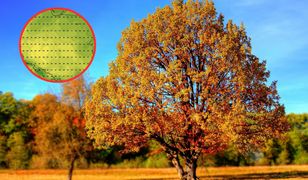 Nadchodzi przełom w pogodzie. Tego dnia duża zmiana