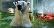 Niemcy. Zoo dopuszcza ubój zwierząt. Powodem koronakryzys