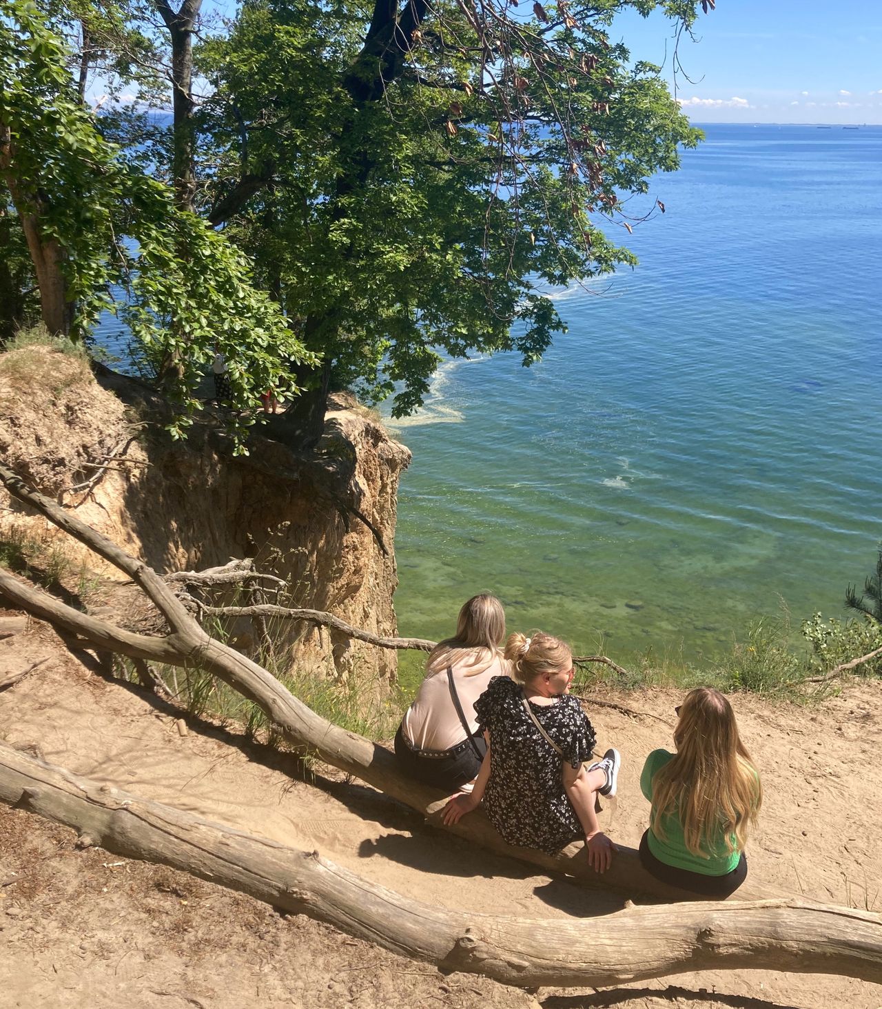 Z klifu w Orłowie rozciąga się przepiękny widok