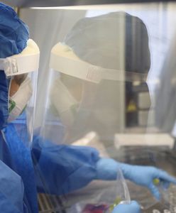 Koronawirus w Polsce. Brakuje chętnych do badań nad amantadyną