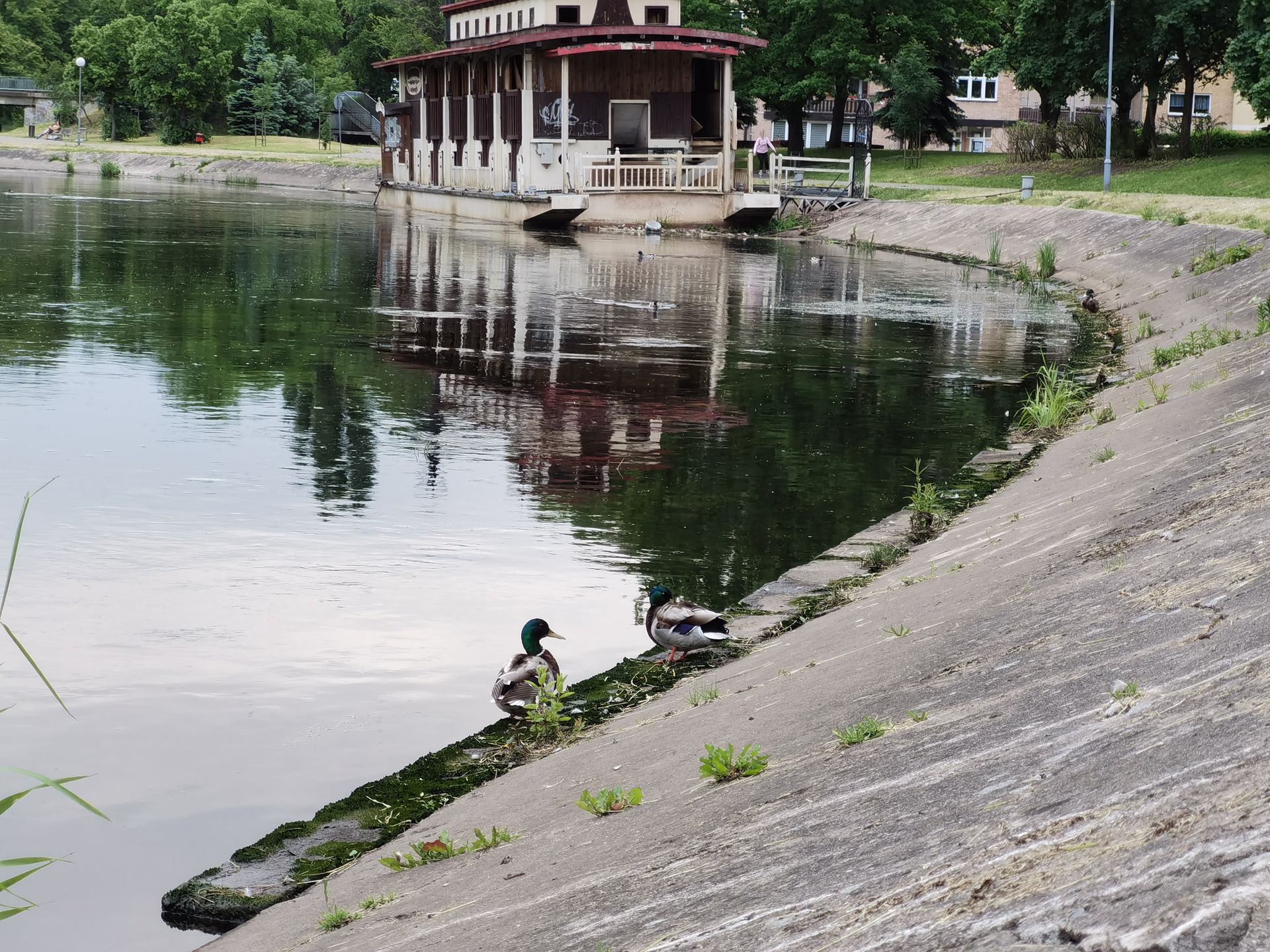 Taki zoom to ja rozumiem. Huawei P40 Pro+: test aparatu 48