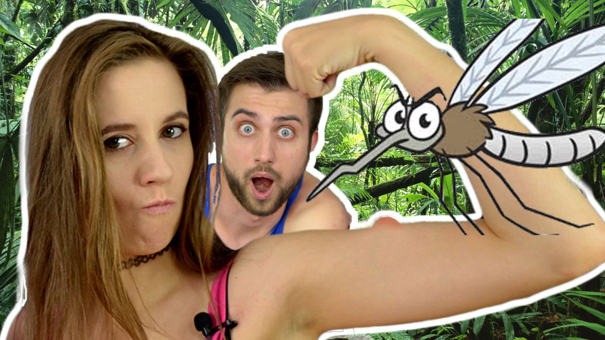 Czy ultradźwięki odstraszają owady? Sprawdzamy najlepsze sposoby na komary [wideo] 1