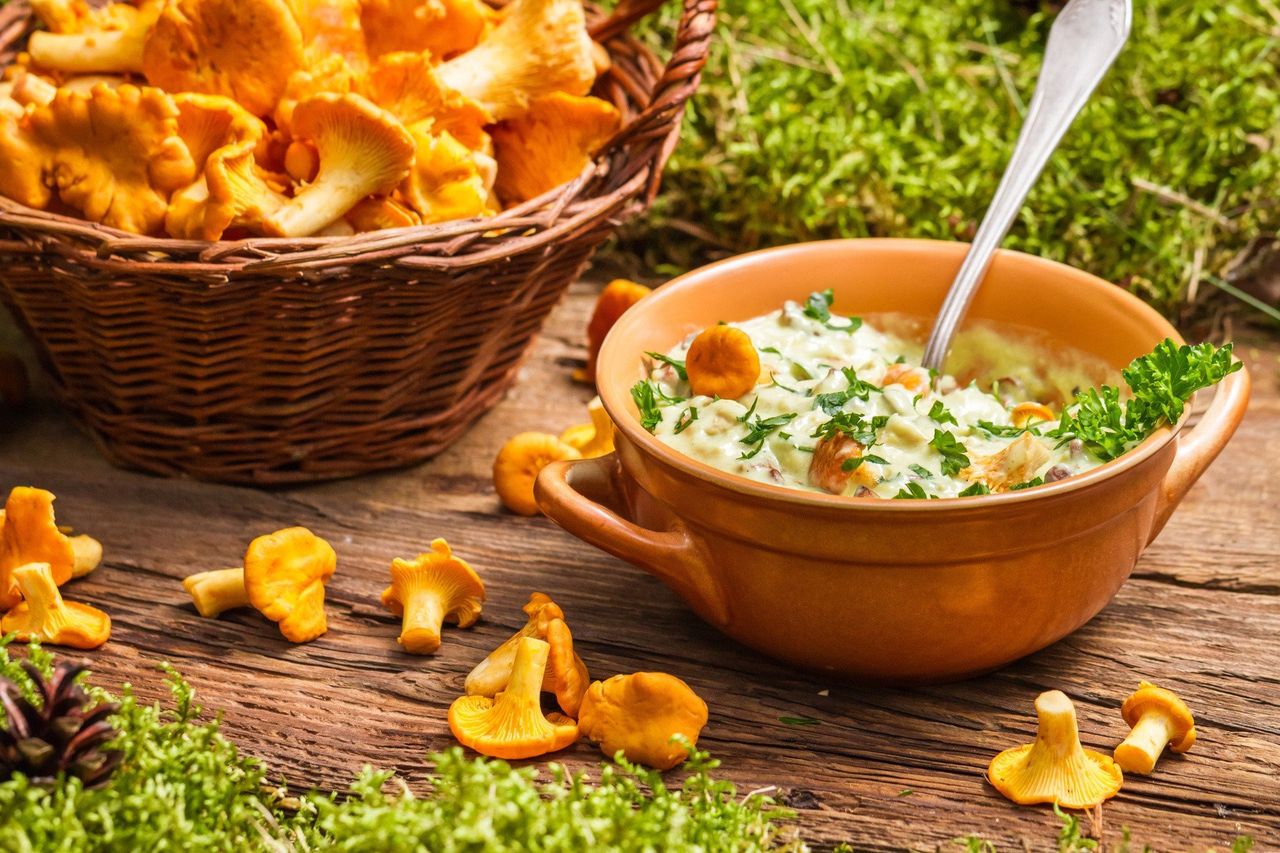 Tradycyjny sos grzybowy ze śmietaną. Ugotuj go według przepisu z babcinego zeszytu