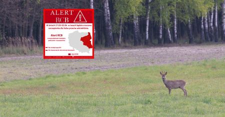 RCB ostrzega. Alerty dostali mieszkańcy tych województw