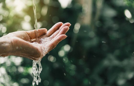 Nestlé Waters chce osiągnąć neutralność węglową