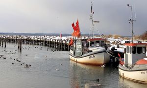 Niemcy ruszyli nad Bałtyk. Ponad 30 kg. "Szaleństwo" na plażach