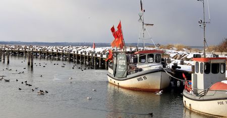 Niemcy ruszyli nad Bałtyk. Ponad 30 kg. "Szaleństwo" na plażach