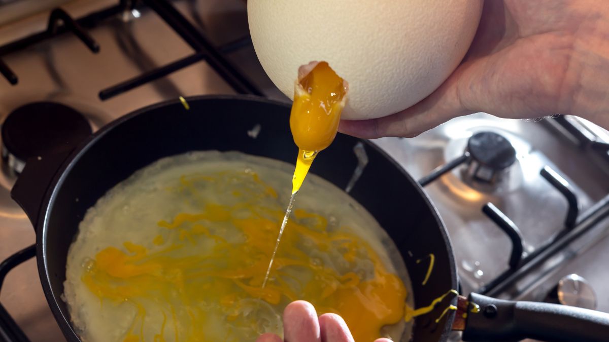 Czy za jajka strusie warto płacić fortunę?