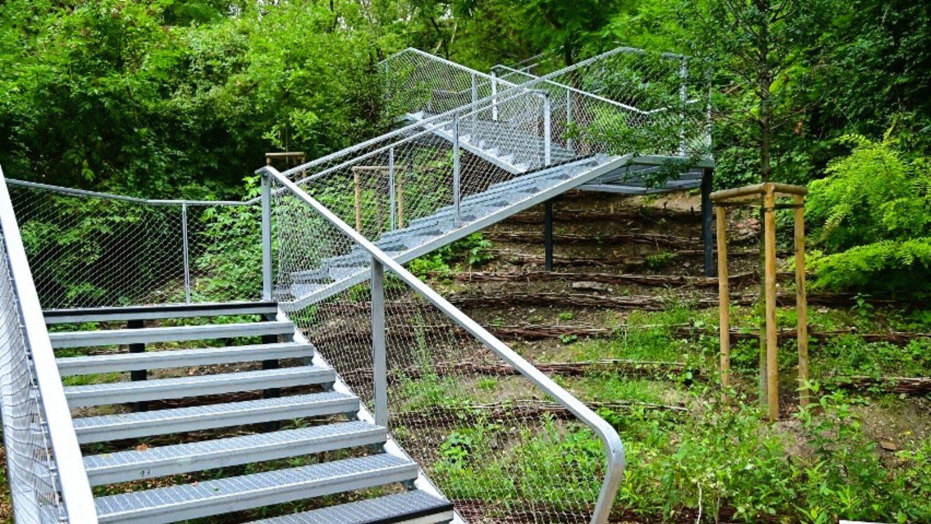 Park Akcji „Burza”: fajne miejsce na weekend w Warszawie. Czeka przyroda, historia, nawet ścieżka w koronach drzew!