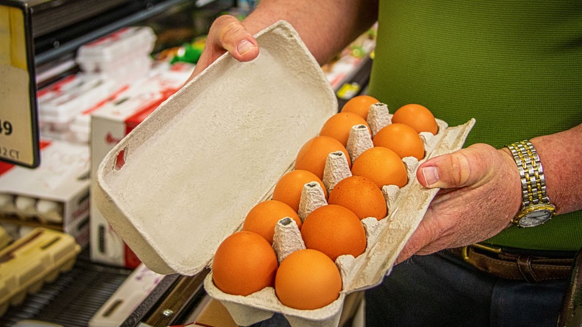 Dlaczego warto sprawdzić jajka w sklepie?