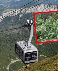 Huraganowy wiatr w Tatrach. "Odradzamy wyjścia w góry"