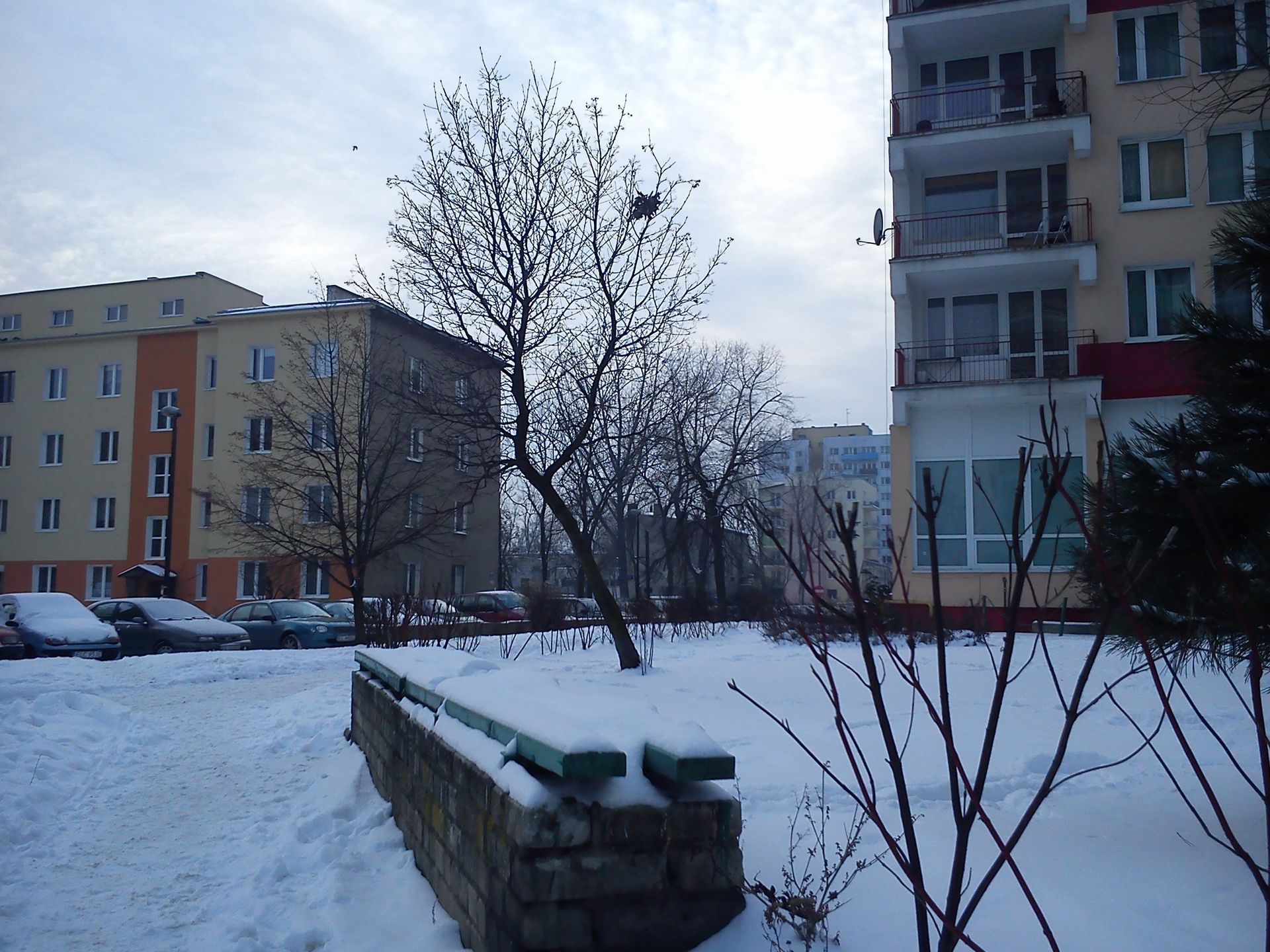 Sony Xperia miro - niska cena w parze z dobrą jakością [test] 12