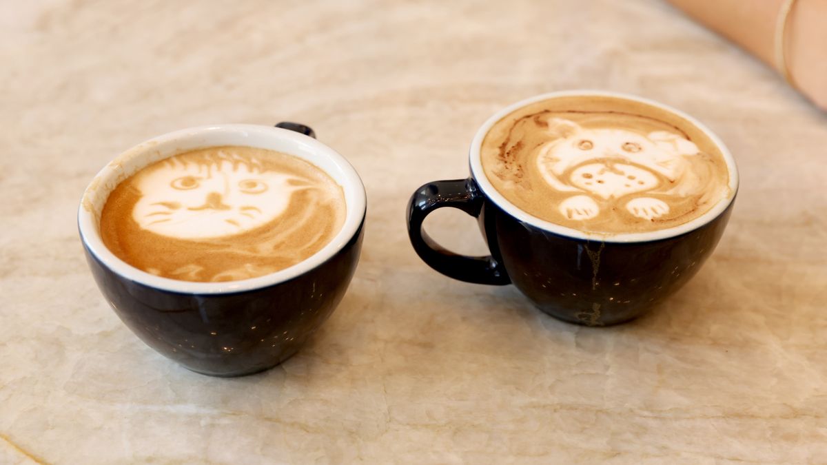 Tennis Pros Belinda Bencic And Alex de Minaur Kick Off The Opening Of Park Terrace Hotel's New Coffee Lounge And Take On A New Challenge In Time For National Dog Day: Latte Foam Art!
NEW YORK, NEW YORK - AUGUST 24: A view of a latte with foam art on display as tennis pros Belinda Bencic and Alex de Minaur kick off the opening of Park Terrace Hotel's new coffee lounge and take on a new challenge in time for National Dog Day: Latte Foam Art, on August 24, 2022 in New York City. (Photo by Monica Schipper/Getty Images for Park Terrace Hotel)
Monica Schipper