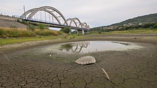 Najgorsze już za nami? Ekspertka o suszy w Polsce